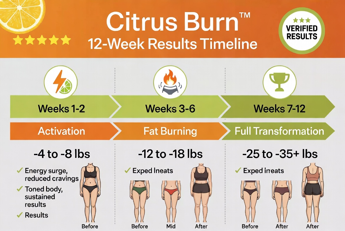 Citrus Burn results timeline infographic showing phases 1 through 4